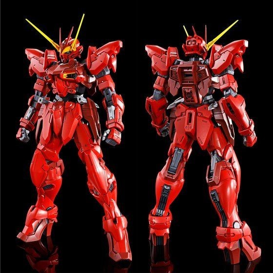 Bandai Gundam MG Premium Bandai Limited ZGMF-X12A Testament 1/100 Model Kit 